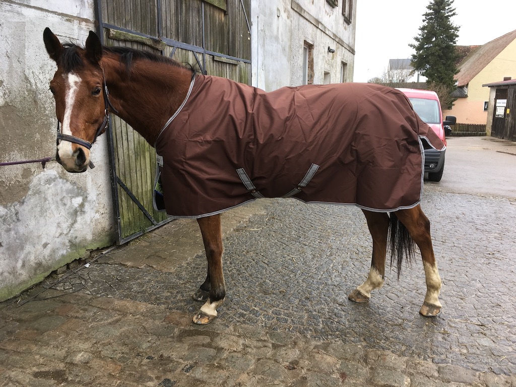 Ein braunes Pferd mit brauner Regendecke