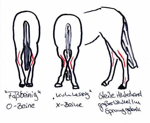 Knochenhautentzündung Pferd Dauer