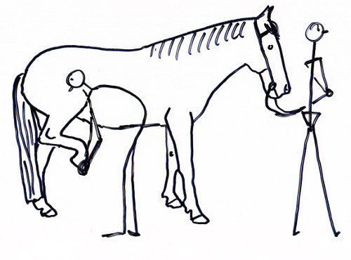 Pferd Steife Hinterhand