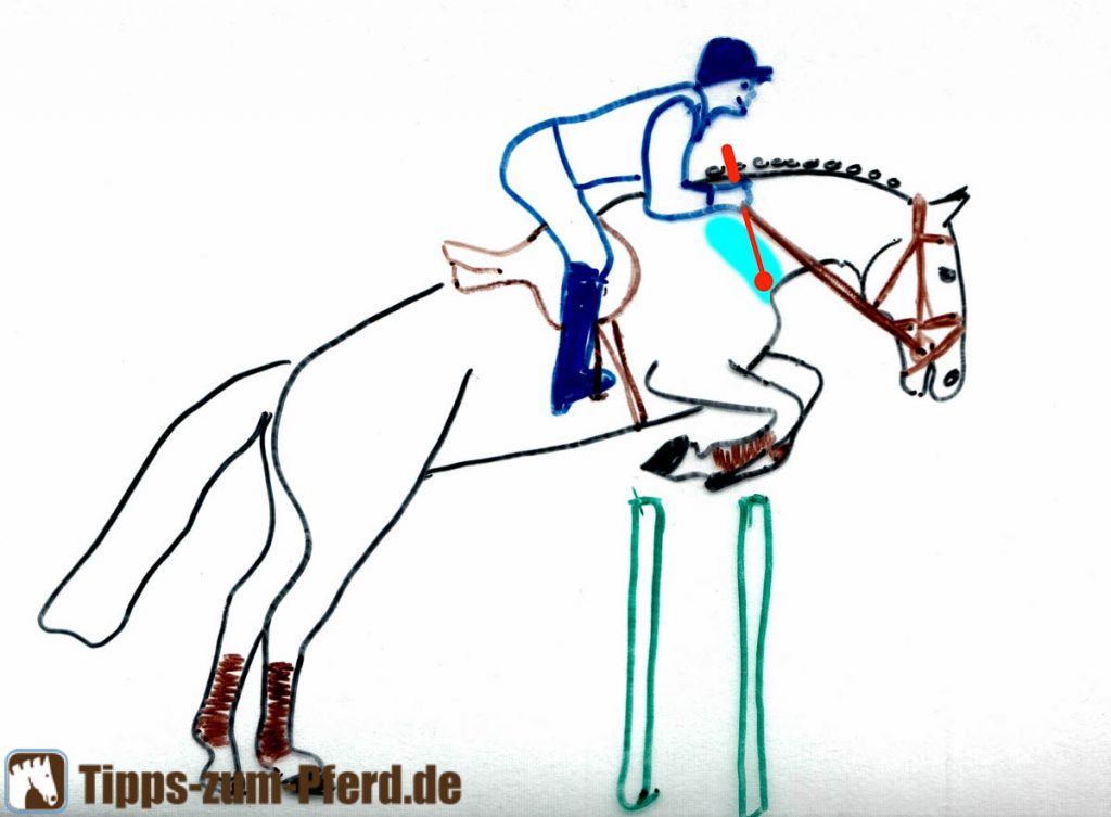 Wie Setzt Man Eine Perücke Richtig Auf